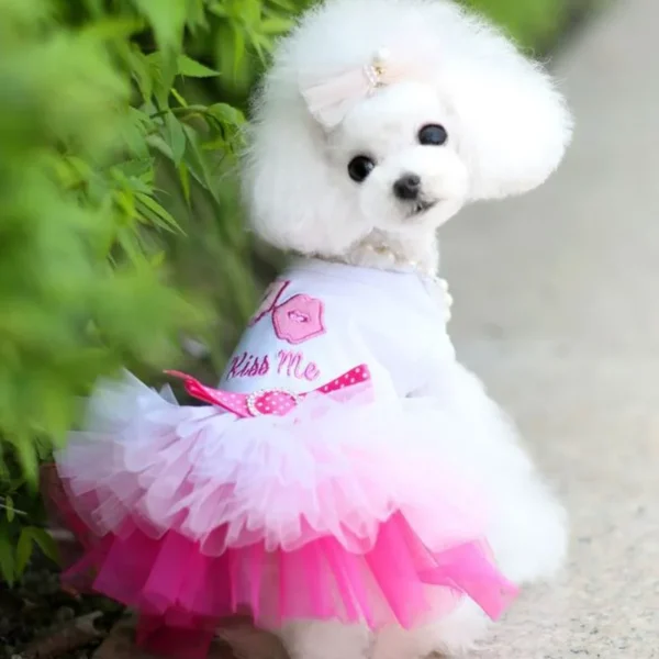 Sweet Princess Dress for Small Dogs Spring Autumn Summer Puppy Dog Lace Tutu Dress Chihuahua Dog Skirt